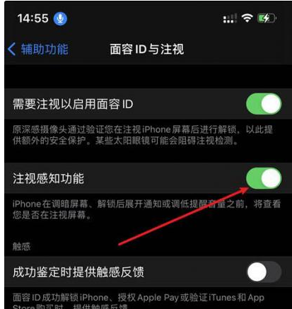 赣县苹果14维修网点分享iPhone14注视感知功能有什么用 