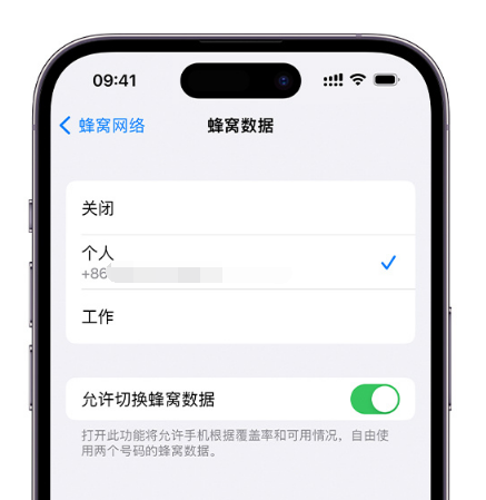 赣县苹果维修服务分享如何在iPhone上使用双卡 